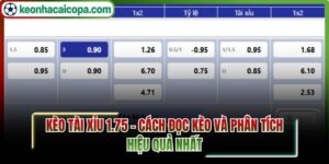 Kèo tài xỉu 1.75