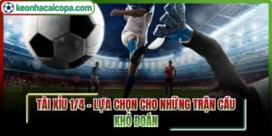 Tài xỉu 1/4