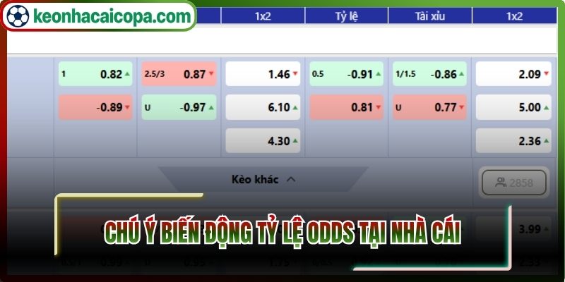 Chú ý biến động ODDS tại nhà cái