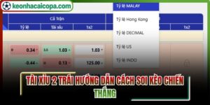 Tài xỉu 2 trái